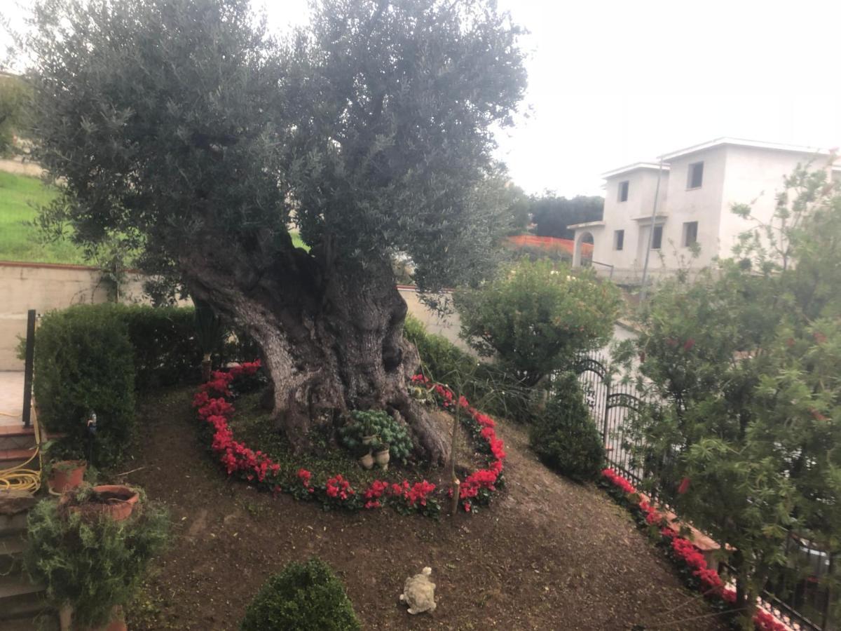 B&B Rosa Dei Venti Roseto Capo Spulico Bagian luar foto