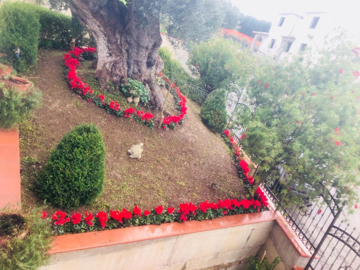 B&B Rosa Dei Venti Roseto Capo Spulico Bagian luar foto